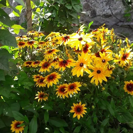 Urlaub Am Zechnerhof Apartman *