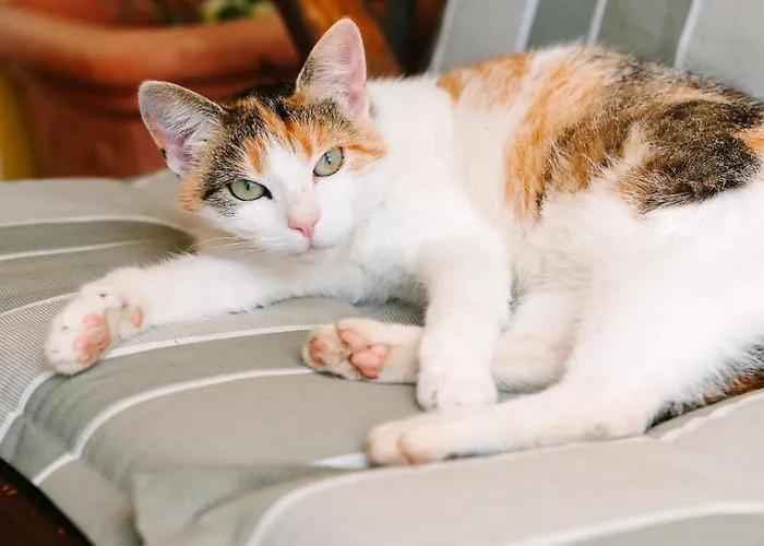 Urlaub Am Zechnerhof Апартаменты Штрасбург-ин-Кернтен