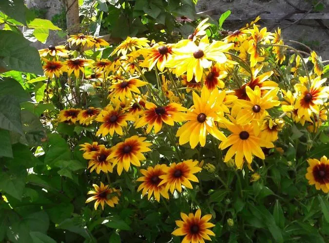 Urlaub Am Zechnerhof Апартаменты *