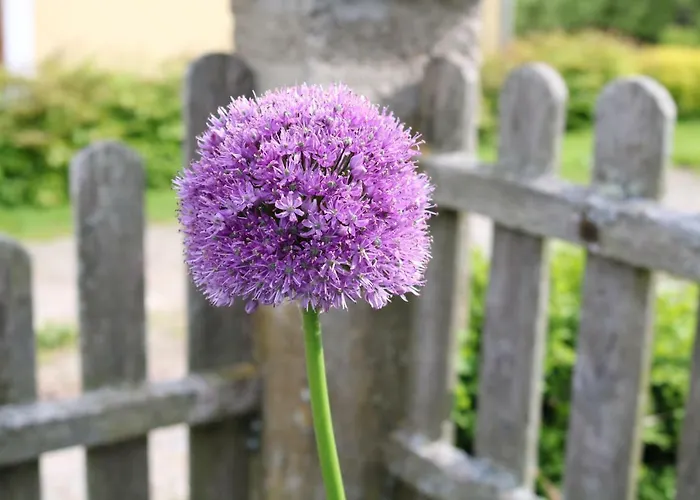 Urlaub Am Zechnerhof Апартаменты